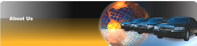 Tokyo Narita / Haneda airport limousine